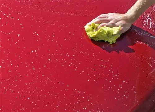 Automotive-Wash-And-Wax--in-Del-Mar-California-automotive-wash-and-wax-del-mar-california.jpg-image